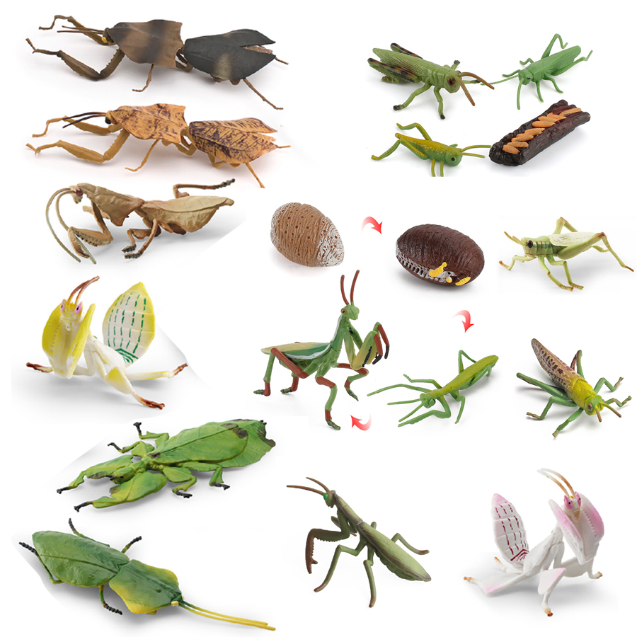 Home Improvement Kids - Model Figur Serangga Daun Raksasa Mantis