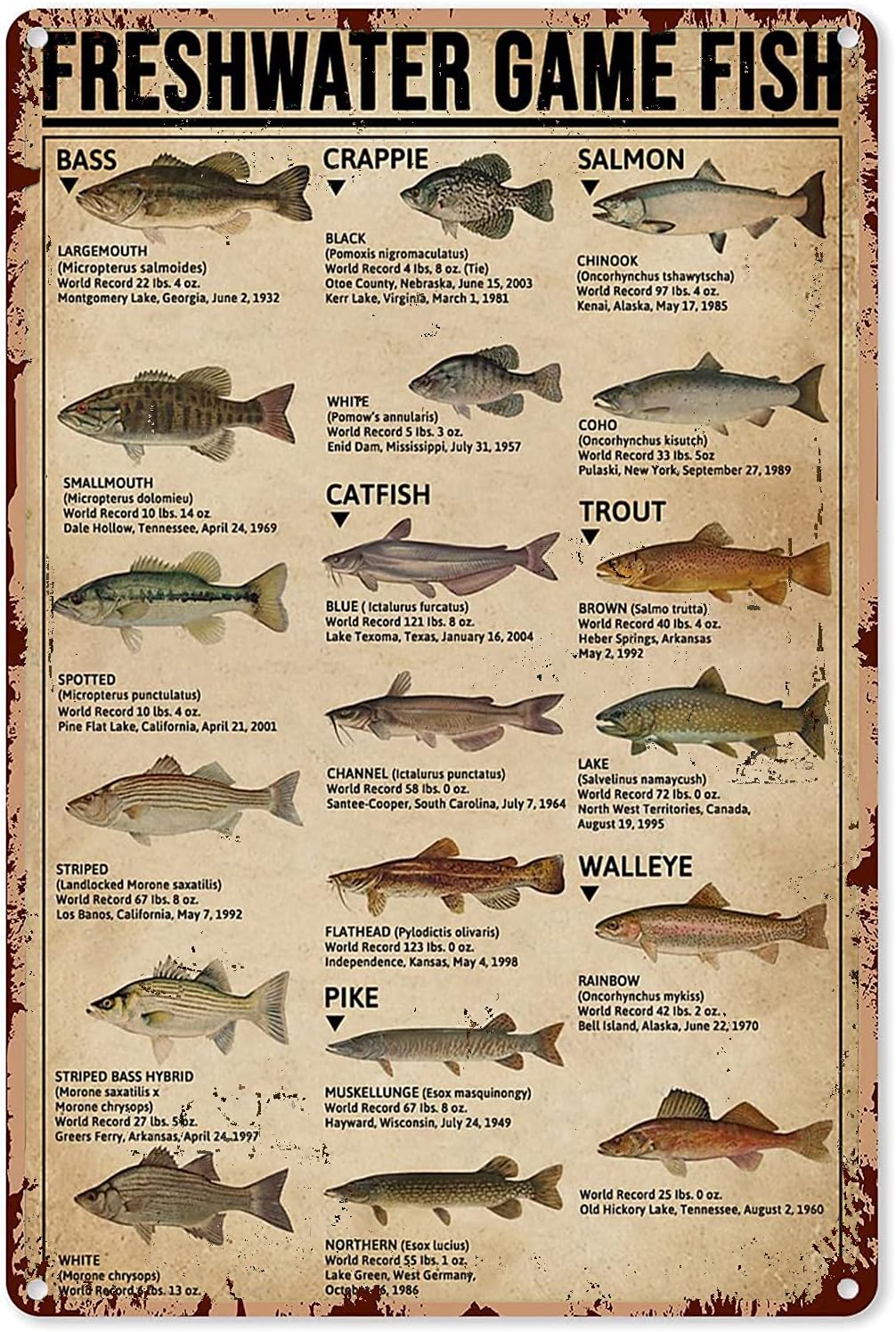 Y1, Poster Seni Memancing, Tan - Home Improvement Game ulasan dan harga
