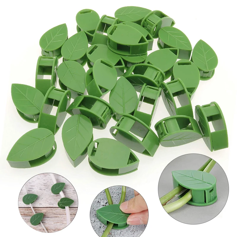 1-50 Buah Perangkat Panjat Din - Wall Anchor Plastic ulasan dan harga