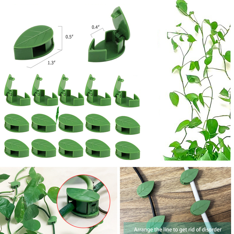 Perlengkapan Memanjat Dinding  - Wall Anchor Plastic ulasan dan harga