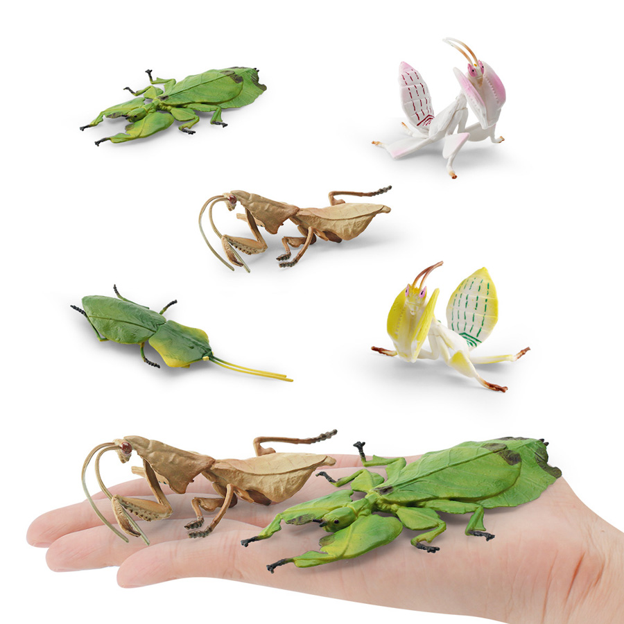 Model Figur Serangga Daun Raks - Home Improvement Kids ulasan dan harga