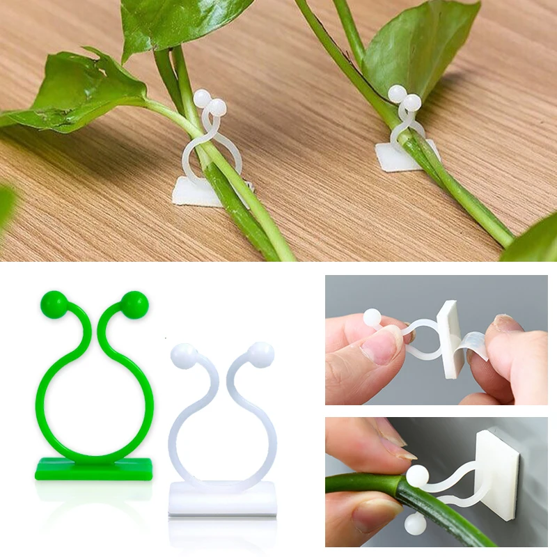Pengait Tanaman Merambat Dindi - Wall Anchor Plastic ulasan dan harga
